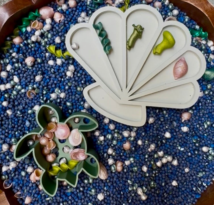 Ocean Sensory Accessories