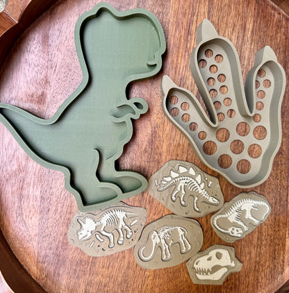 Dinosaur Discovery Set