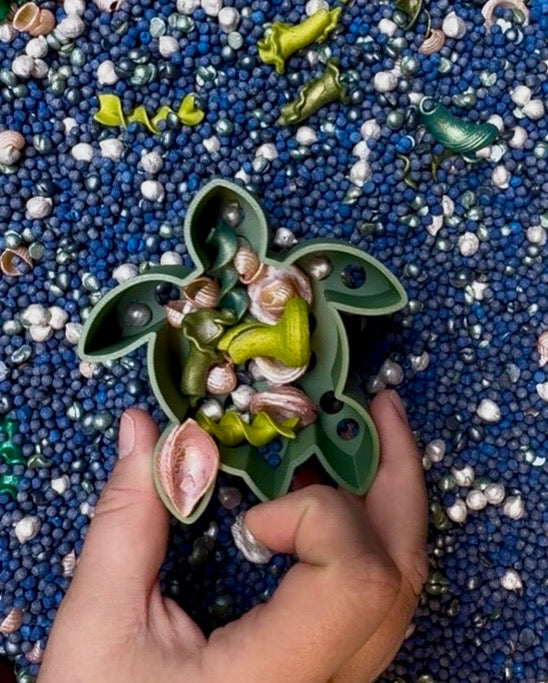 Ocean Sensory Accessories